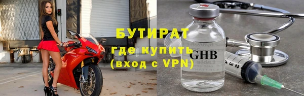 индика Бородино