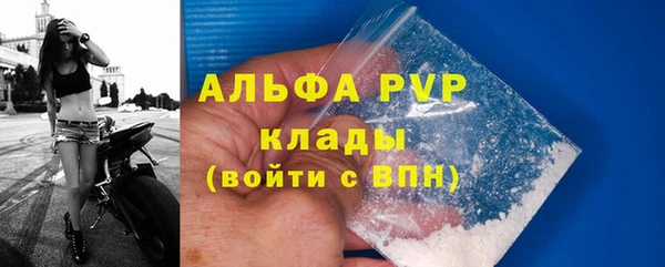 индика Бородино