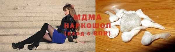 индика Бородино