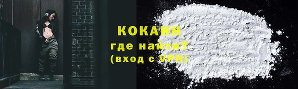 индика Бородино