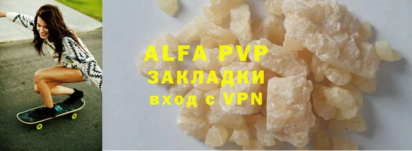 индика Бородино