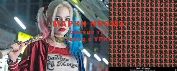 индика Бородино
