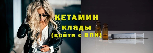 индика Бородино