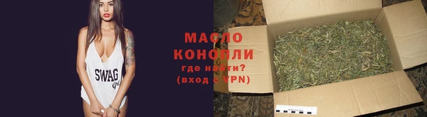индика Бородино