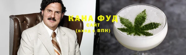 индика Бородино