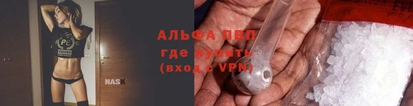 индика Бородино
