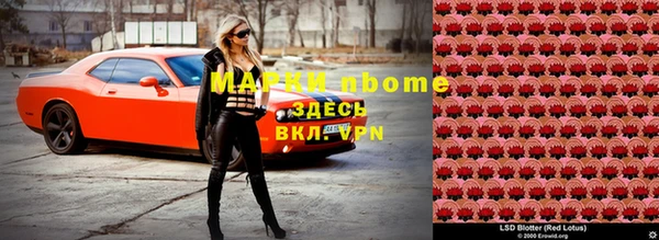 индика Бородино