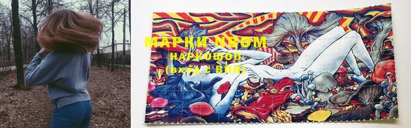 индика Бородино