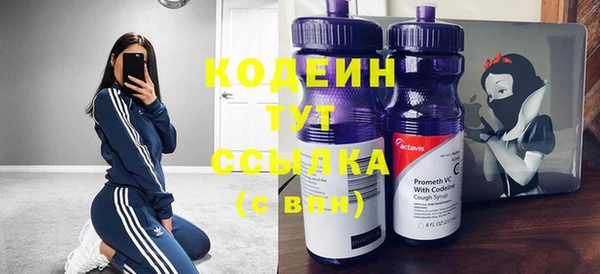 индика Бородино