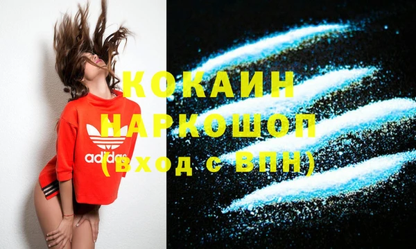 индика Бородино