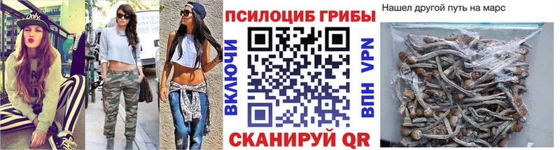Купить закладки  Туран  Галлюциногенные грибы Psilocybine cubensis 