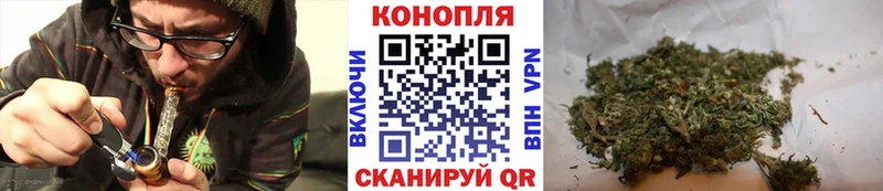 Купить закладки  Туран  Бошки Шишки White Widow 